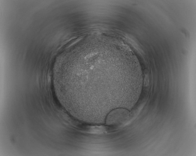 X0000114120363200910051515