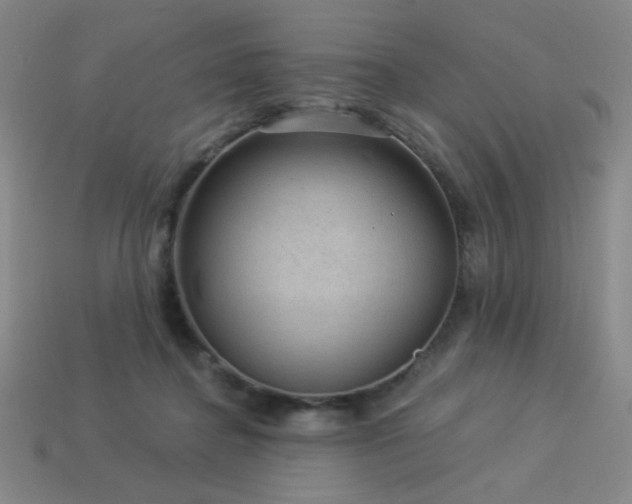 X0000114120364200910051515