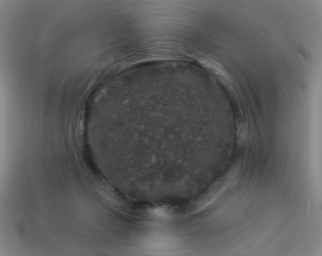 X0000114120365200910051515