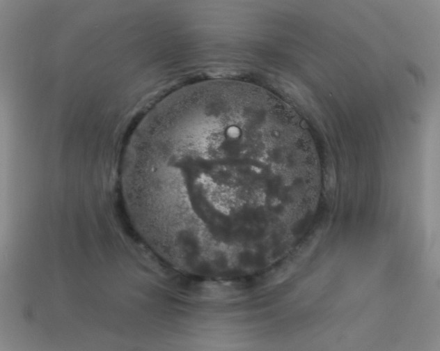 X0000114120367200910051515