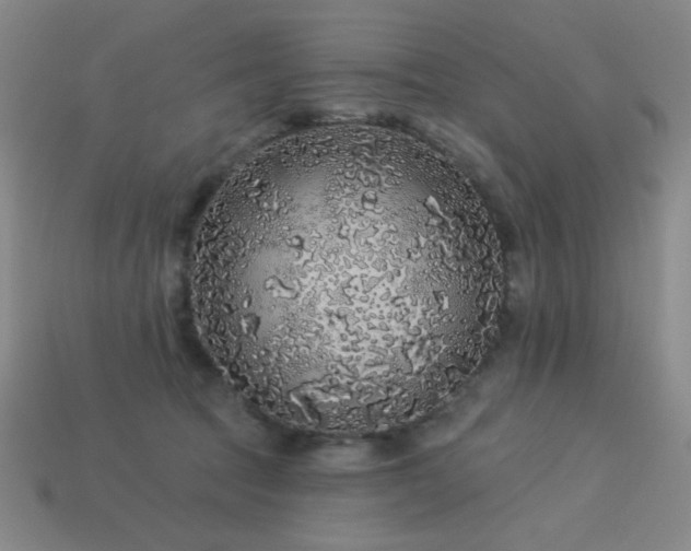 X0000114120369200910051515