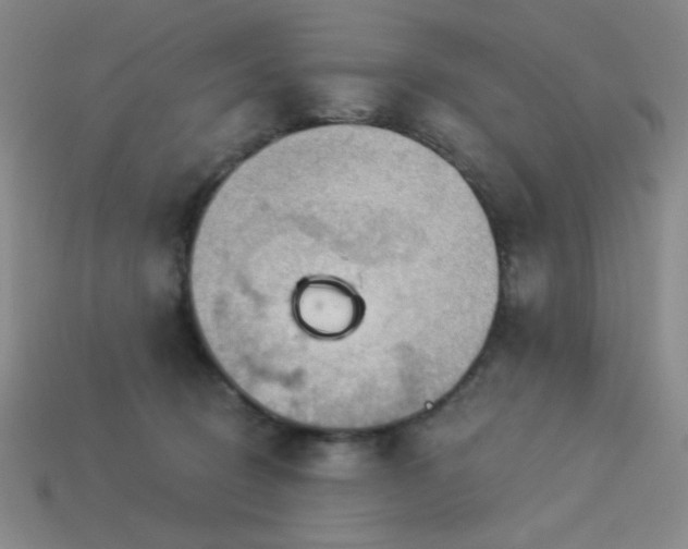 X0000114120370200910051515