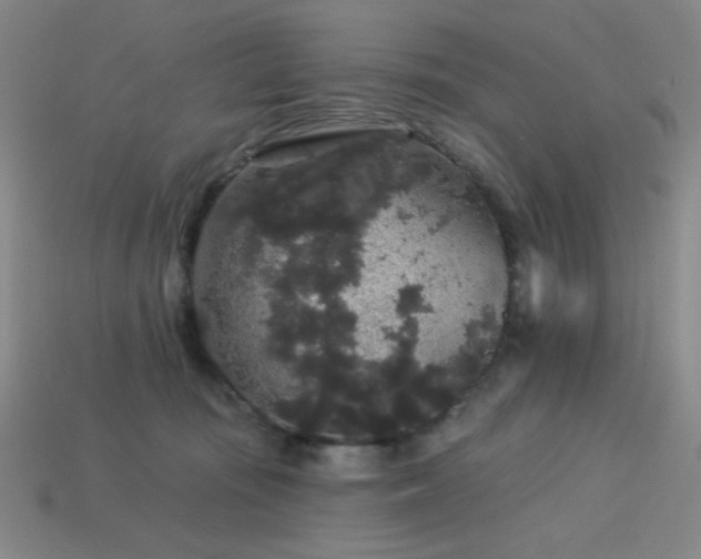 X0000114120371200910051515