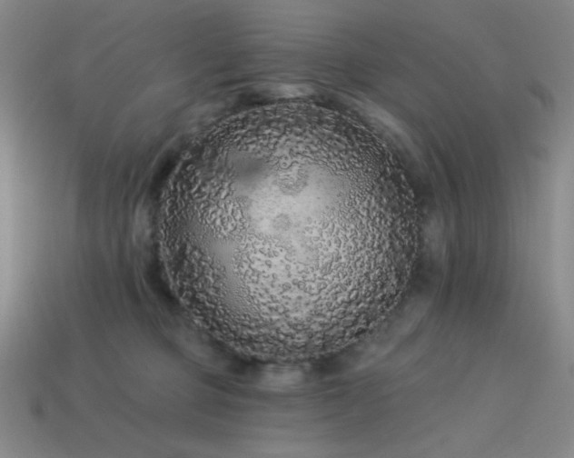 X0000114120373200910051516