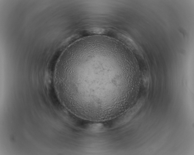 X0000114120374200910051516