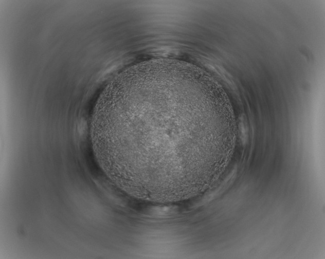 X0000114120375200910051516