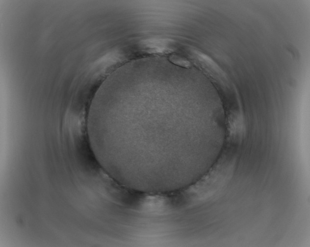 X0000114120376200910051516