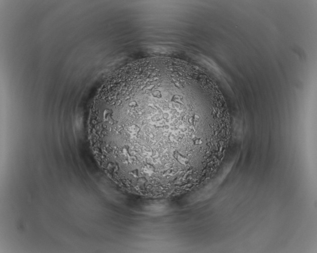 X0000114120377200910051516