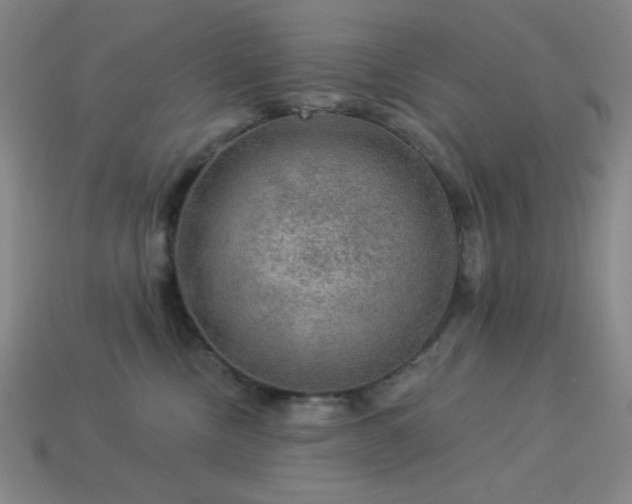 X0000114120378200910051516