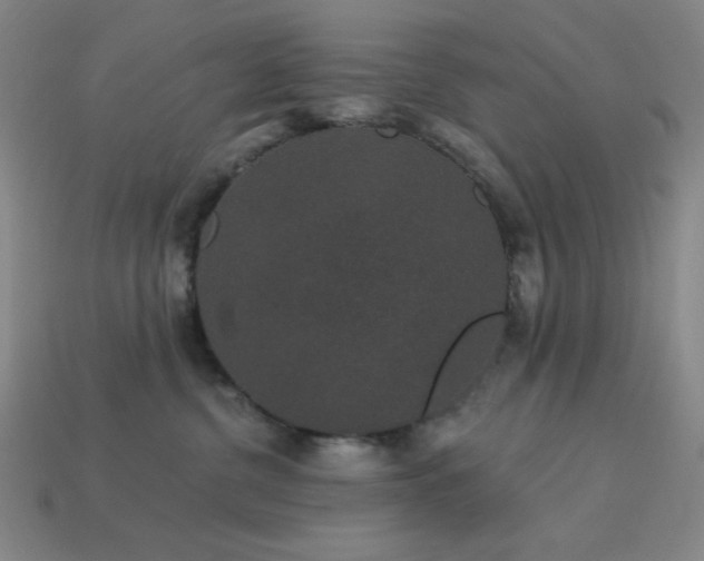 X0000114120380200910051516