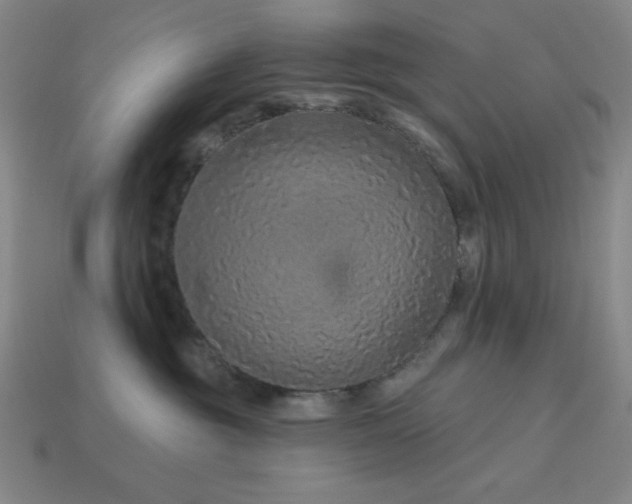 X0000114120381200910051516