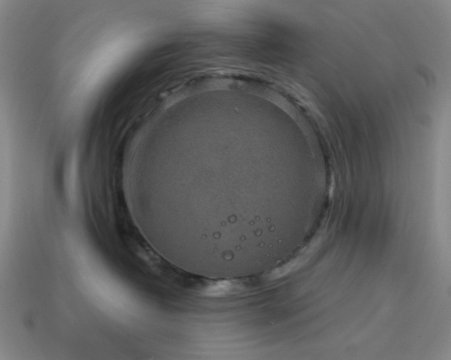 X0000114120382200910051516