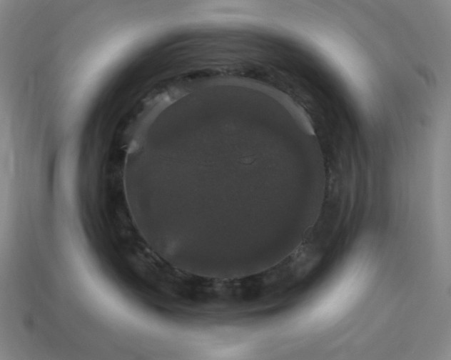 X0000114120383200910051516