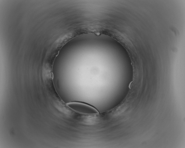 X0000114120384200910051516