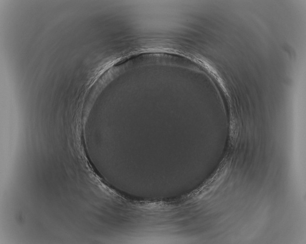 X0000114120385200910051515