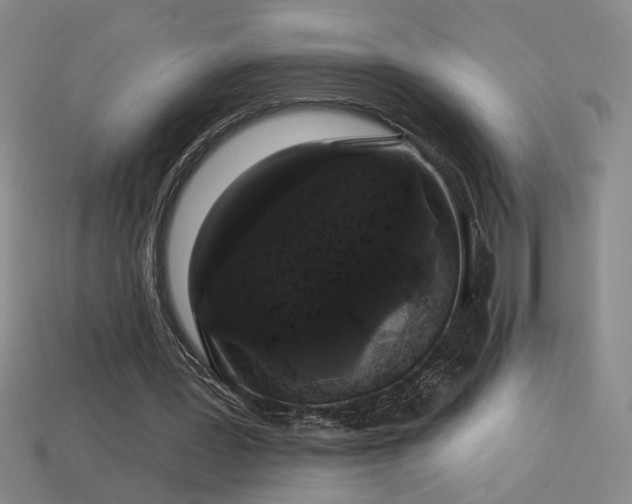 X0000114120387200910051515