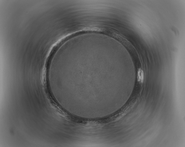 X0000114120388200910051515