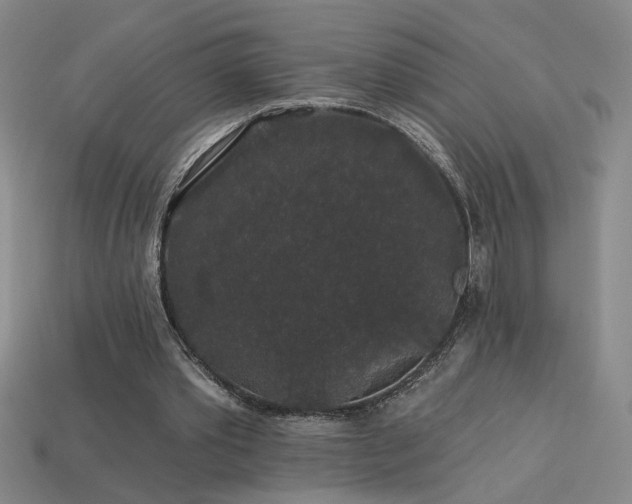 X0000114120389200910051515