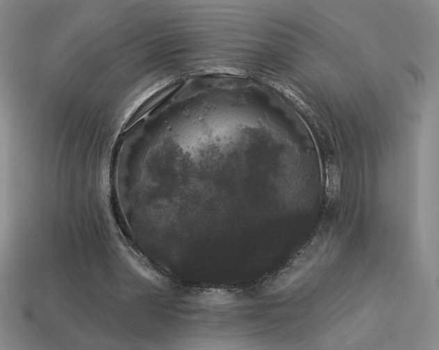 X0000114120390200910051515