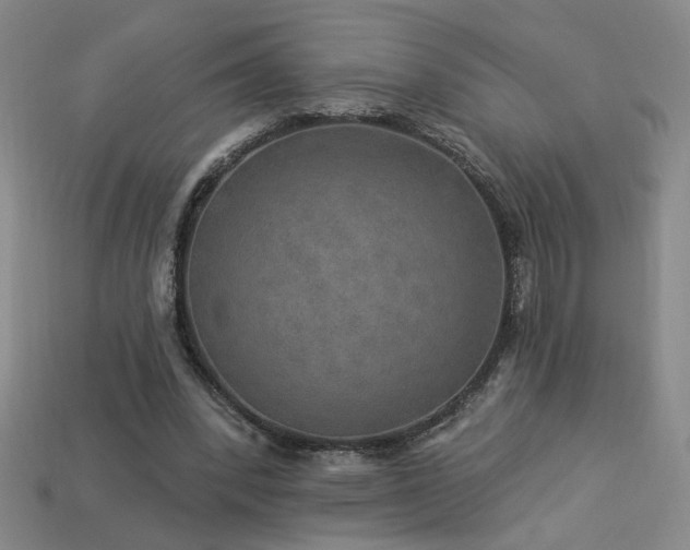 X0000114120392200910051515