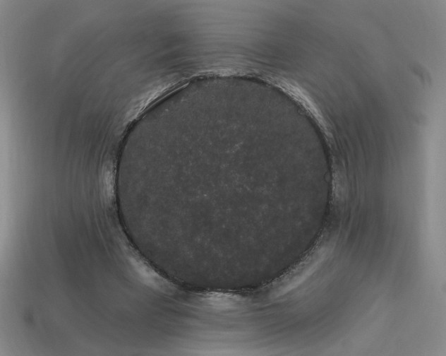 X0000114120393200910051515