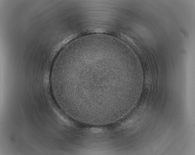 X0000114120394200910051515