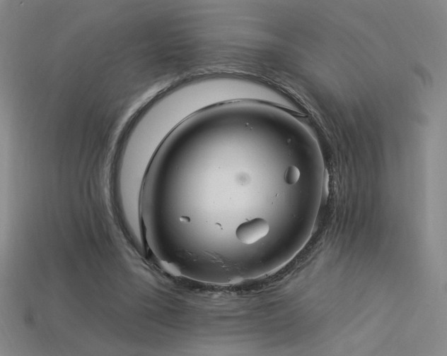 X0000114120395200910051515