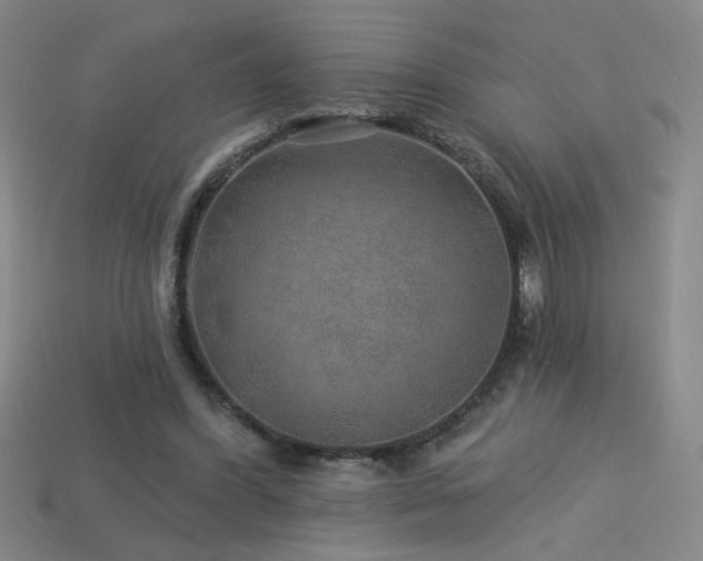 X0000114120396200910051515