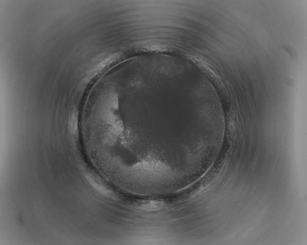 X0000114120398200910051515