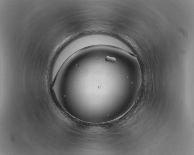 X0000114120399200910051515