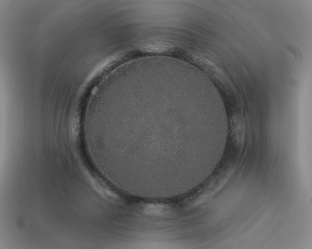 X0000114120400200910051515