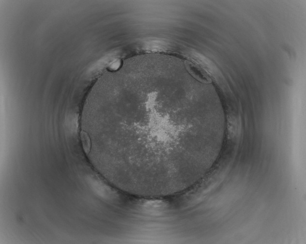 X0000114120401200910051515