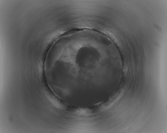 X0000114120402200910051515