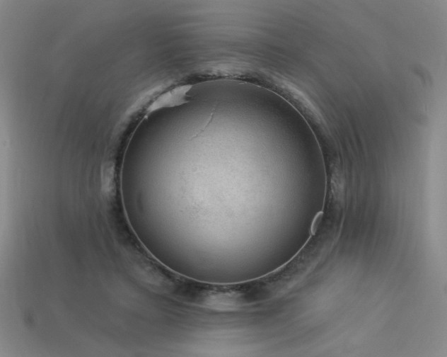 X0000114120403200910051515