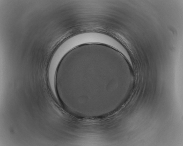 X0000114120405200910051515