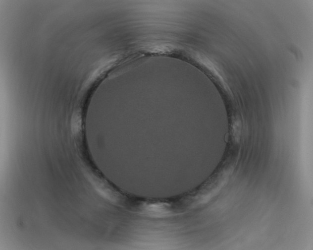 X0000114120407200910051515