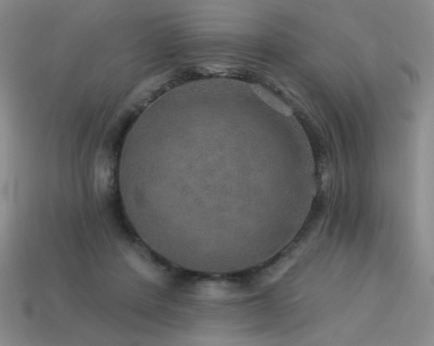 X0000114120408200910051515