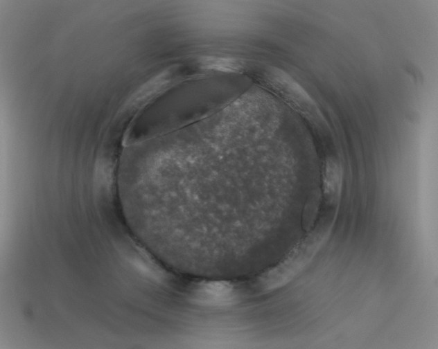 X0000114120409200910051515