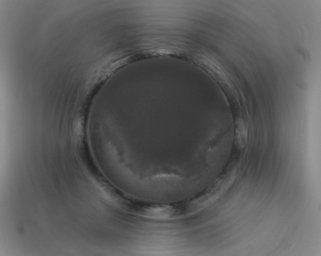 X0000114120410200910051515