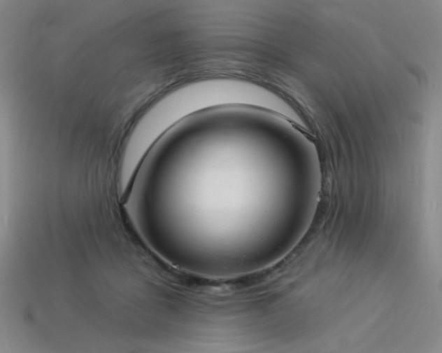 X0000114120411200910051515