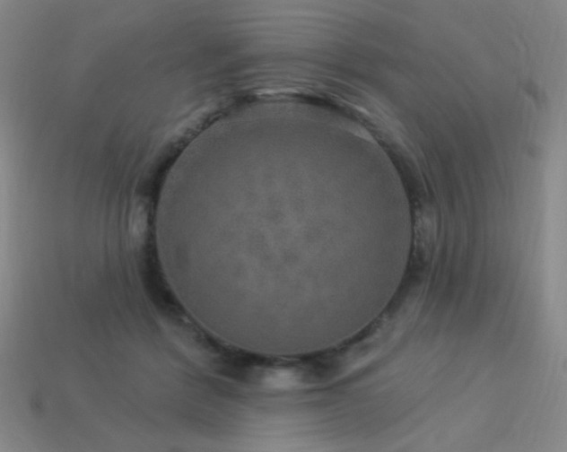 X0000114120412200910051515