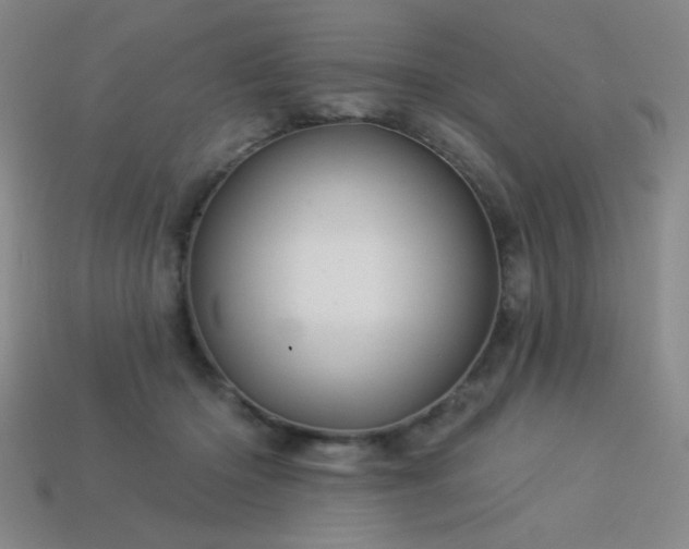 X0000114120414200910051515