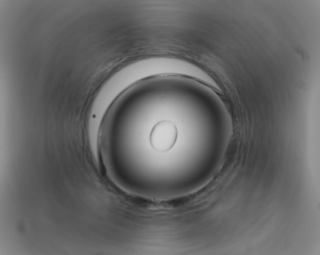 X0000114120415200910051515