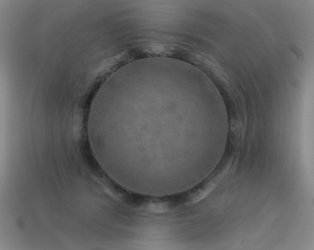 X0000114120416200910051515