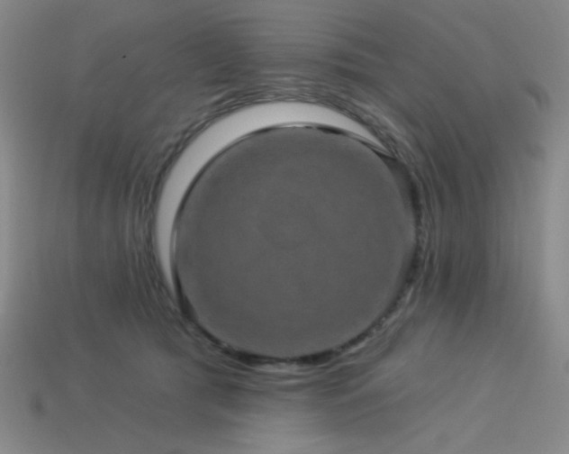 X0000114120417200910051515