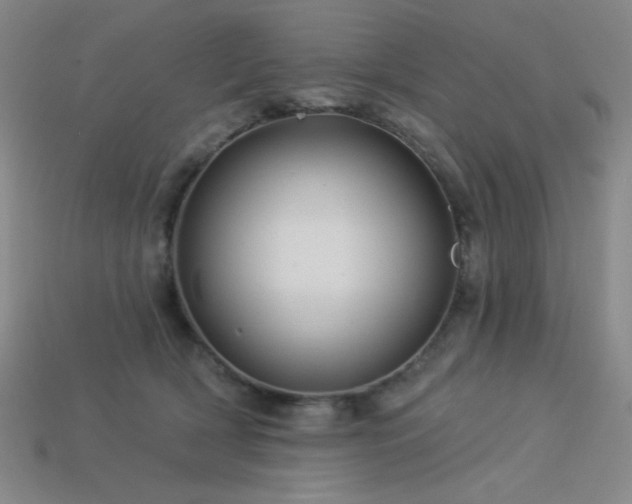 X0000114120418200910051515