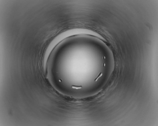 X0000114120419200910051515