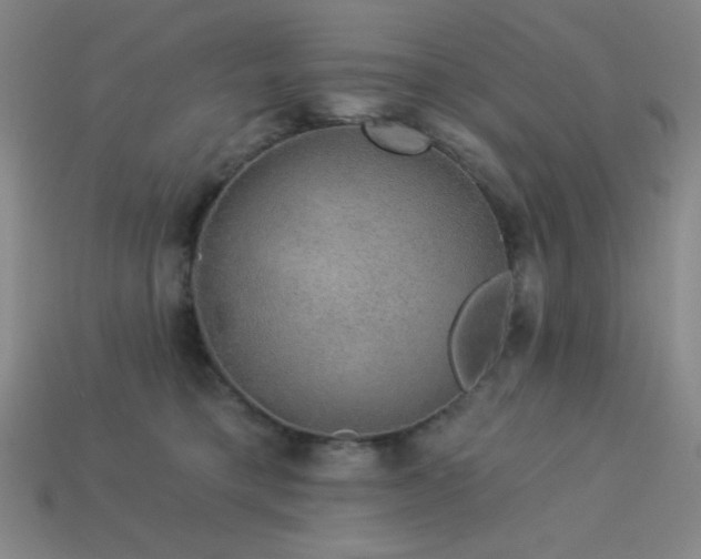 X0000114120421200910051515