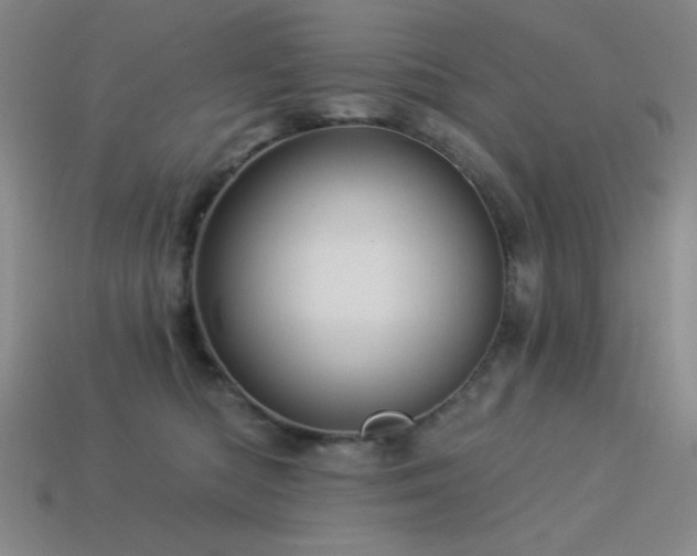 X0000114120422200910051515