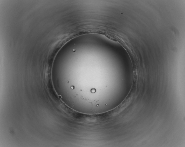 X0000114120423200910051515